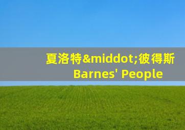 夏洛特·彼得斯Barnes' People